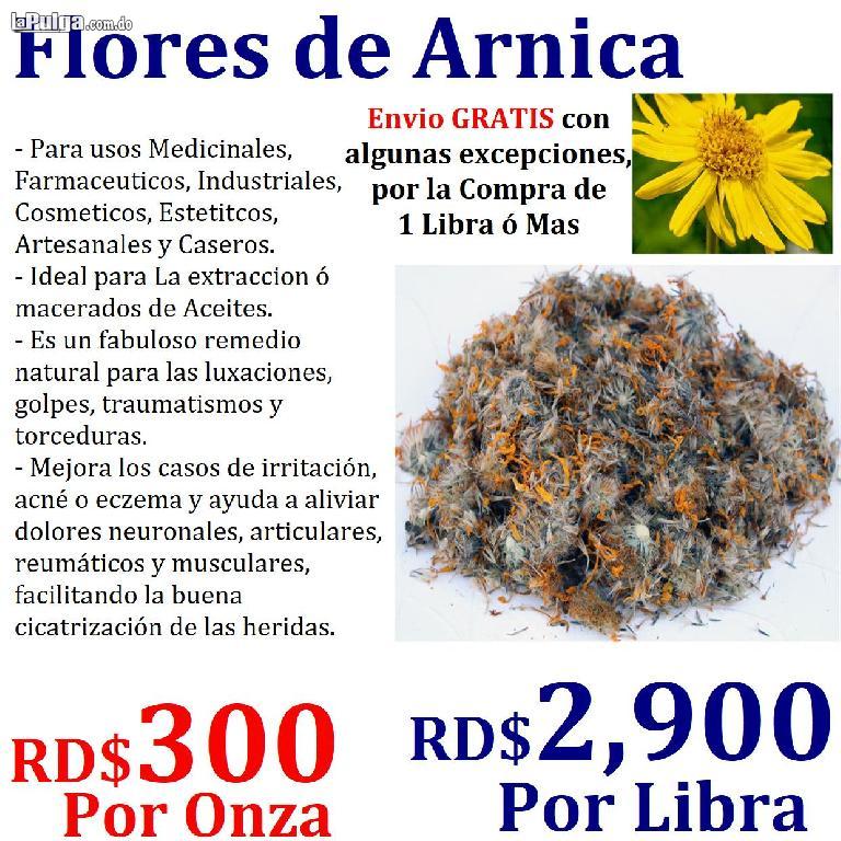 Hierbas medicinales en General y mas. Foto 7000152-1.jpg