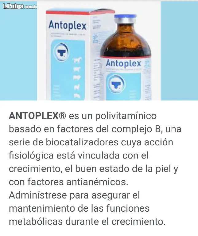 Antoplex 100cc Envios A Todo El Pais