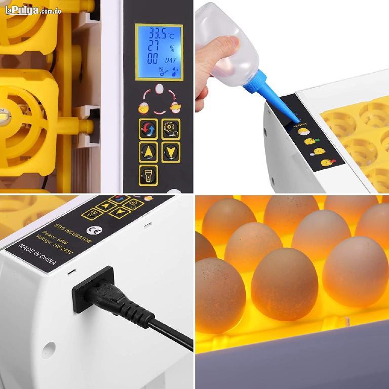 incubadora de 24 huevos control automático de giro y temperatura. Foto 7051380-1.jpg
