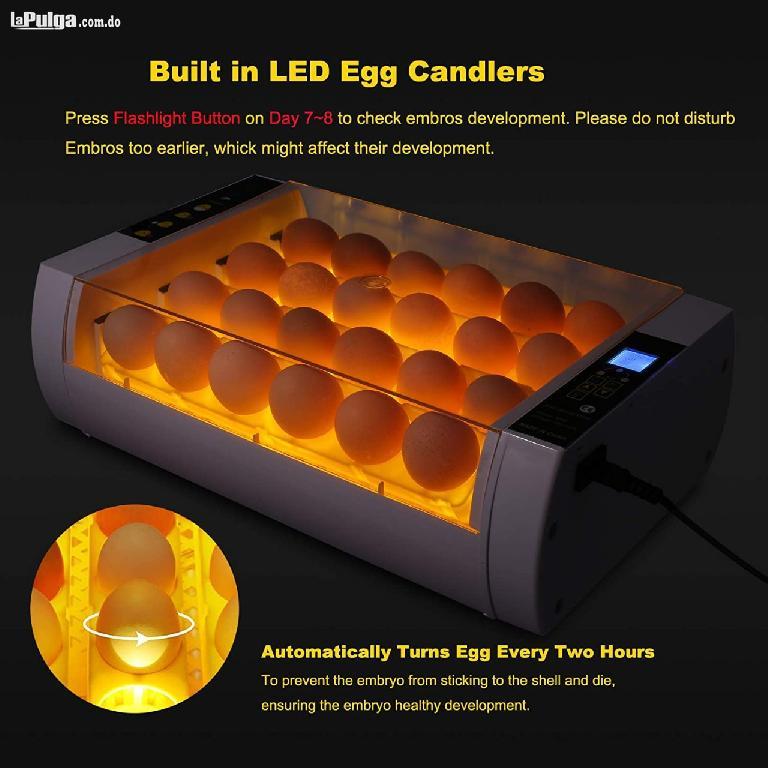 incubadora de 24 huevos control automático de giro y temperatura. Foto 7051380-2.jpg