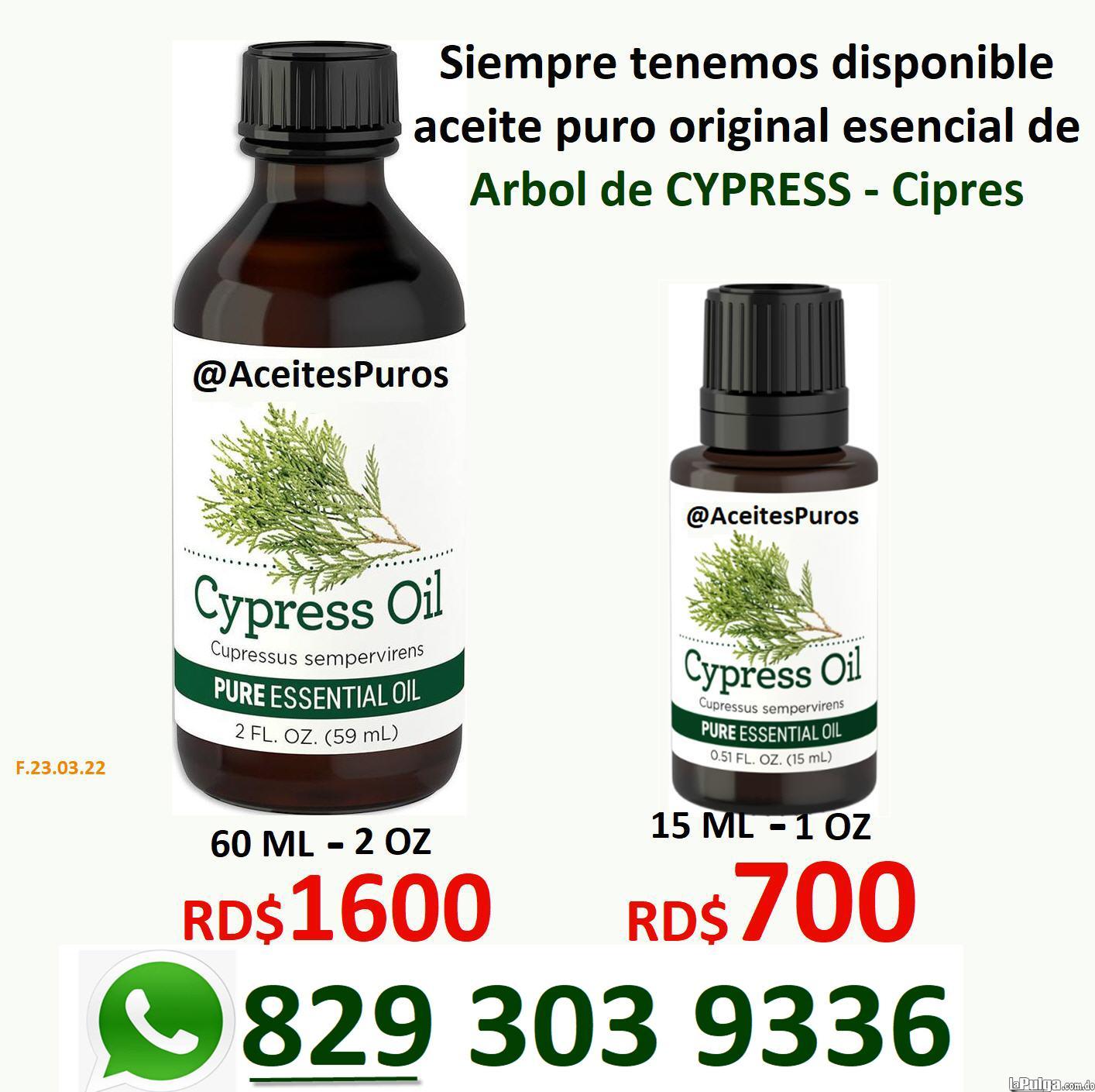 CYPRESS aceite puro esencial de cipres en RD Foto 7080877-1.jpg