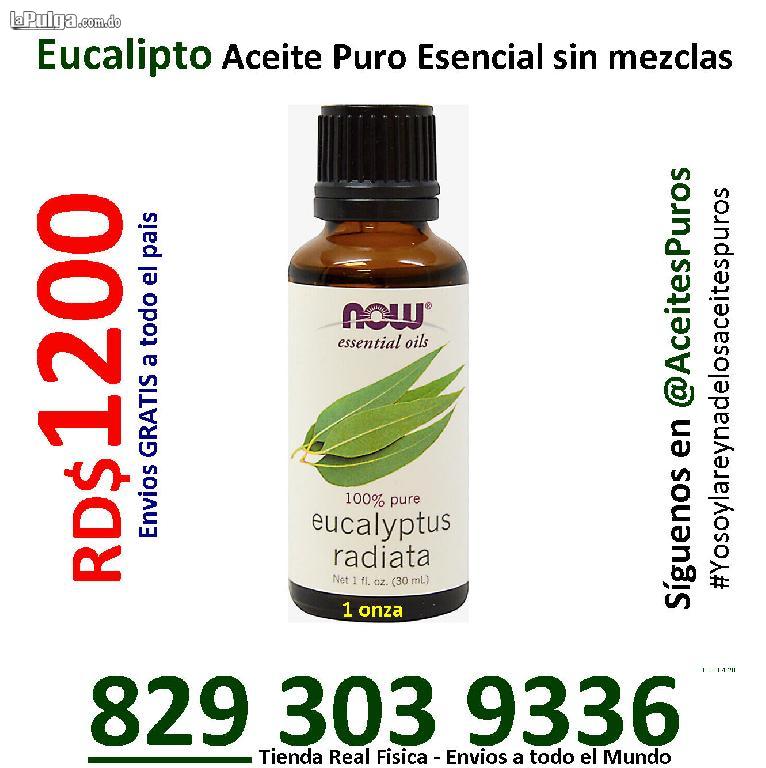 Aceite esencial de eucalipto puro y natural grado terapeutico  Foto 7105935-1.jpg