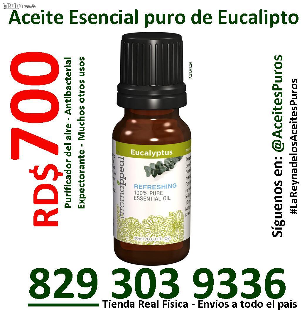 Aceite esencial de eucalipto puro y natural grado terapeutico  Foto 7105935-3.jpg