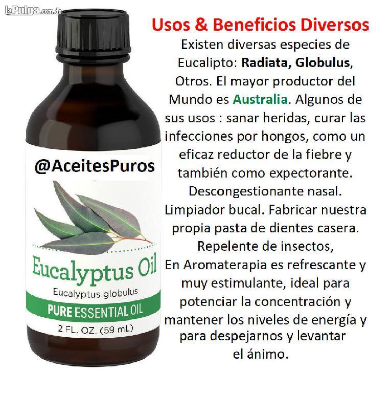 Aceite esencial de eucalipto puro y natural grado terapeutico  Foto 7105935-4.jpg