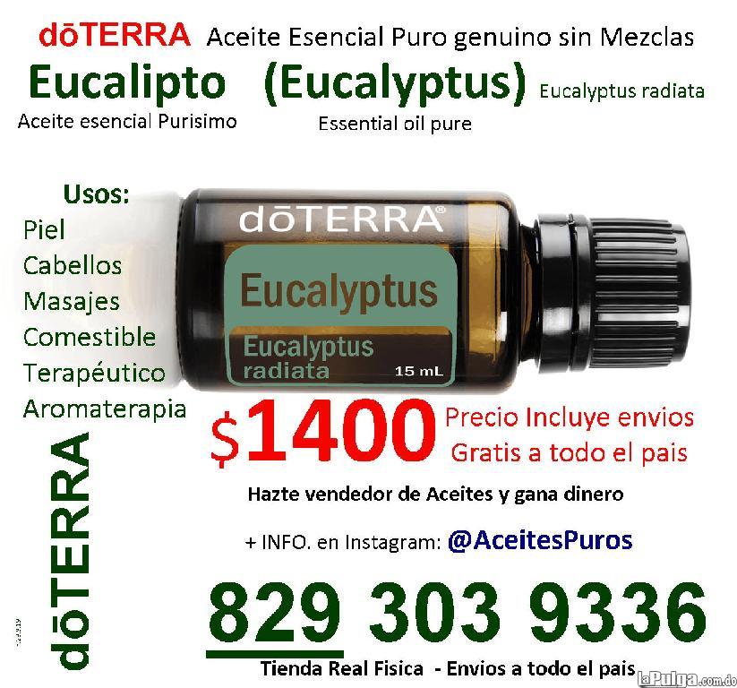 Aceite esencial de eucalipto puro y natural grado terapeutico  Foto 7105935-5.jpg
