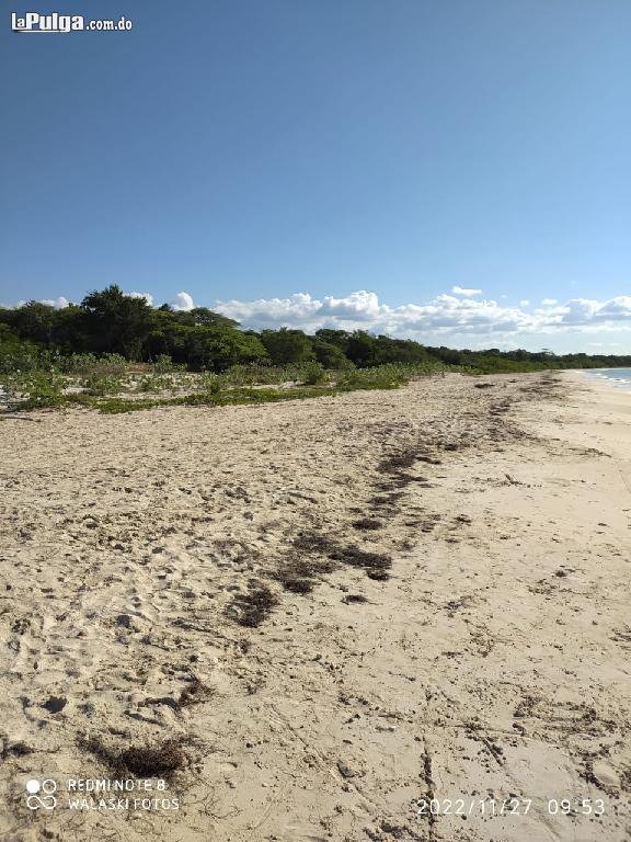 Vendo Terreno En Primera Línea De Playa En Pedernales. Foto 7126815-1.jpg
