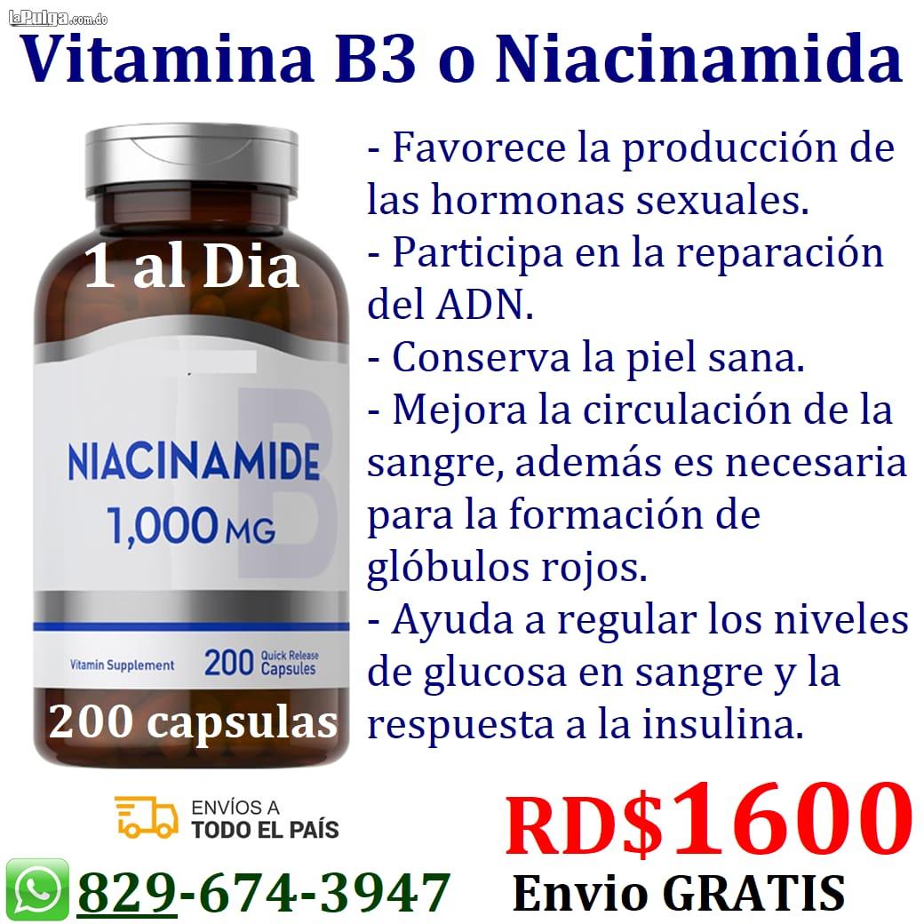 Niacidamida Vitamina B3 suplementos proteínas aceites  Foto 7131044-1.jpg