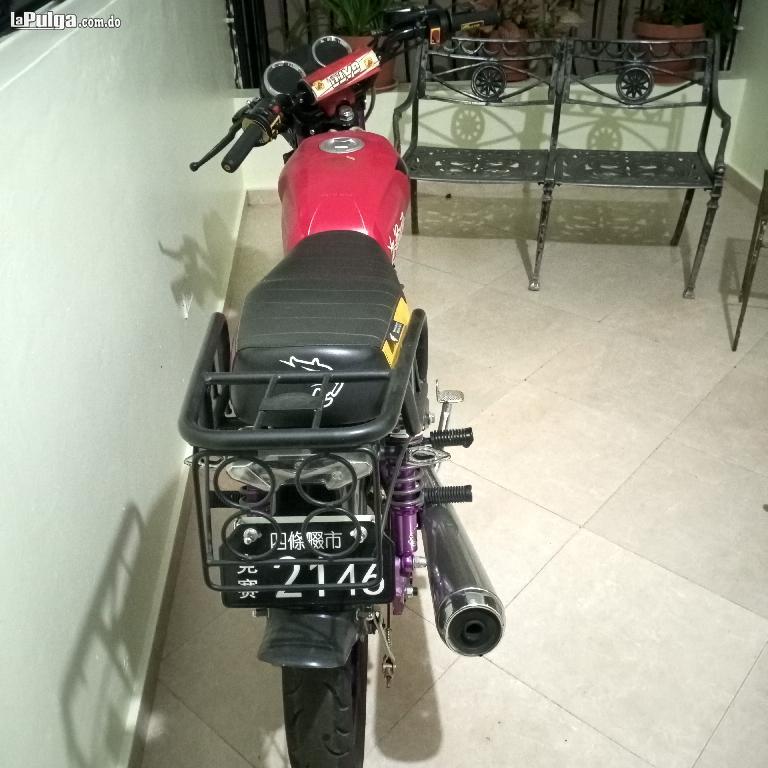 Motocicleta Super Gato 2022 Foto 7134671-2.jpg