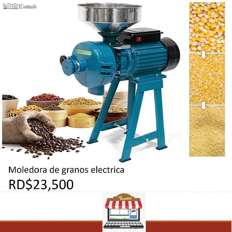 Moledora de granos alimenticios Molino Trituradora cereales harina Foto 7156170-5.jpg
