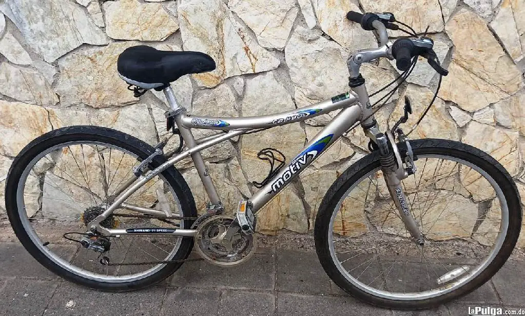 Motiv ca480 mountain discount bike