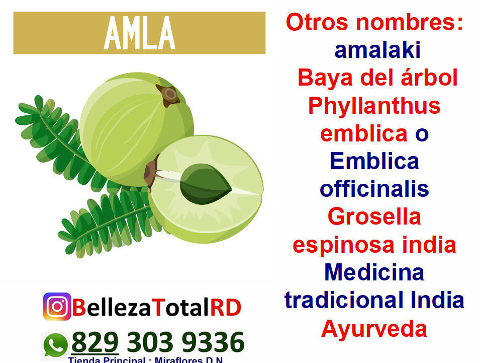 Polvo de amla grado comestible medicinal grosella india  Foto 7169645-2.jpg