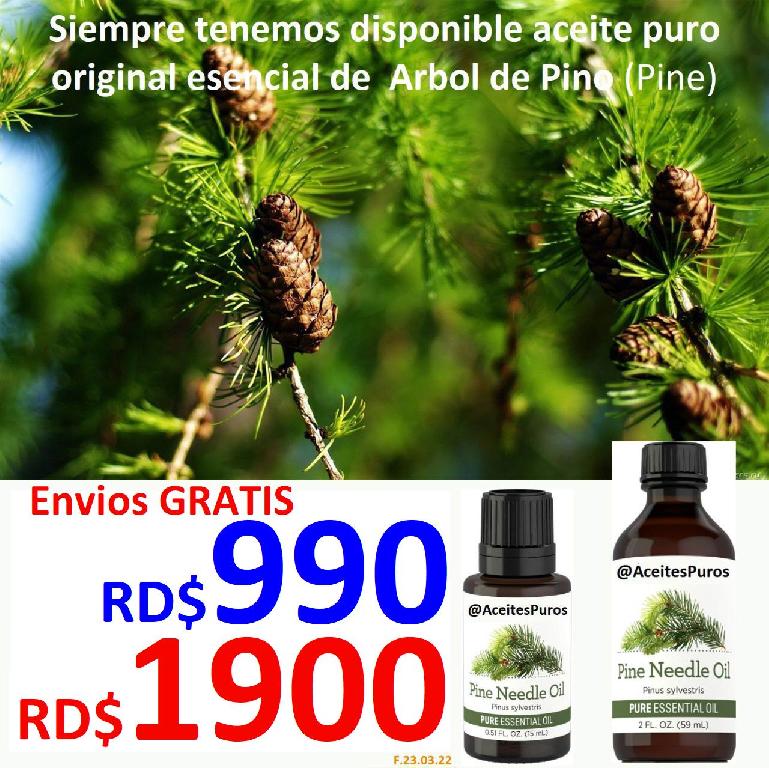 olor a PINO arbol de pine original perfume aceite Foto 7194352-1.jpg