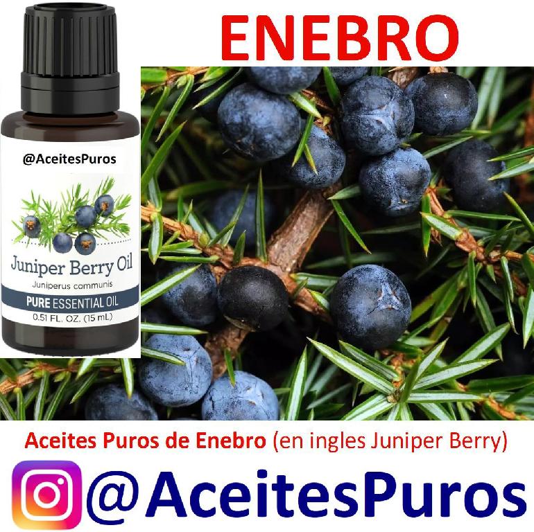 enebro o juniper berry berries aceite esencial puro  Foto 7196128-1.jpg