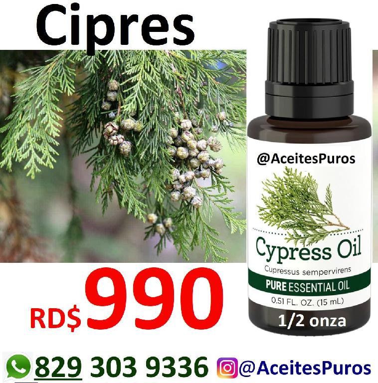 Aceite esencial puro original de cipress cypress cipres Foto 7196219-1.jpg