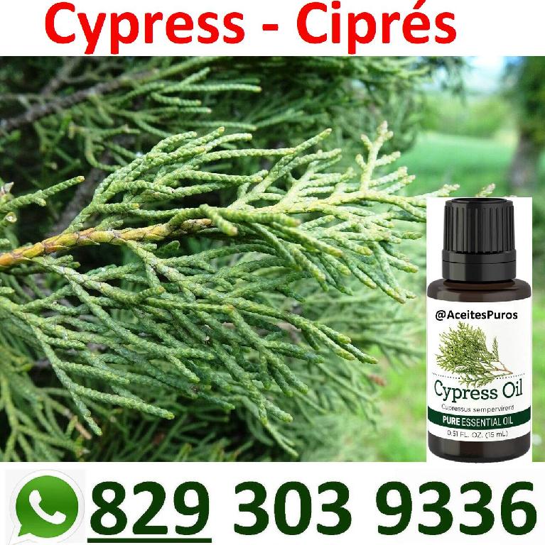 Aceite esencial puro original de cipress cypress cipres Foto 7196219-2.jpg