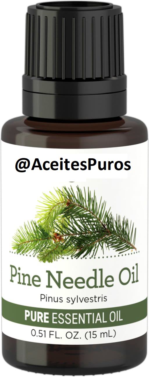 aceite esencial puro original natural organico de pino pine Foto 7196220-2.jpg