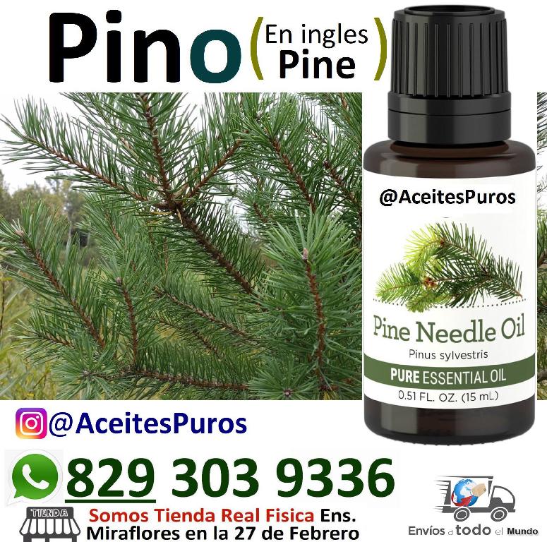aceite esencial puro original natural organico de pino pine Foto 7196220-3.jpg