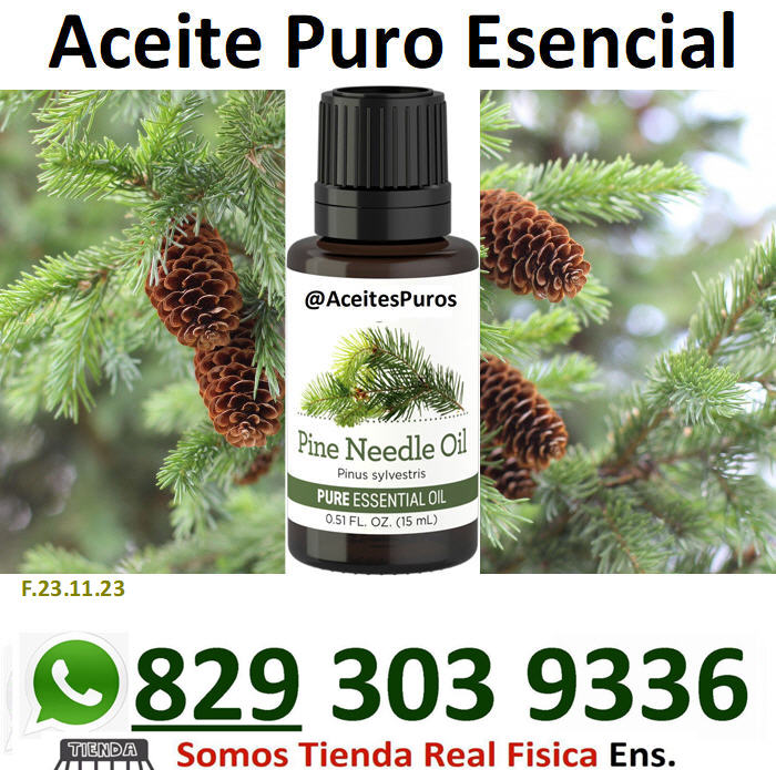 aceite esencial puro original natural organico de pino pine Foto 7196220-4.jpg