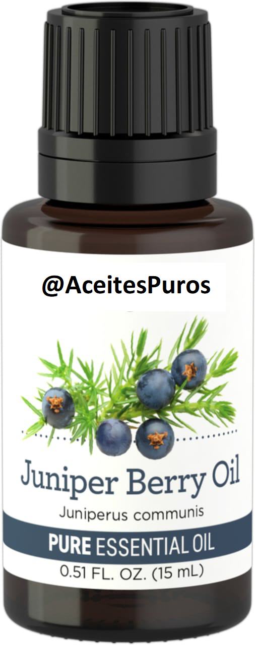 enebro juniper berry berries aceite esencial puro original n Foto 7196221-2.jpg