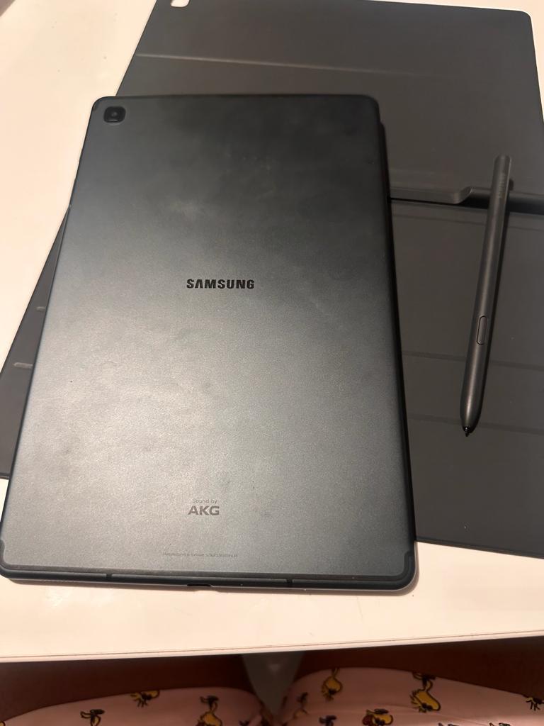 Tablet Samsung Tab S6 Lite de 64G Foto 7210077-1.jpg