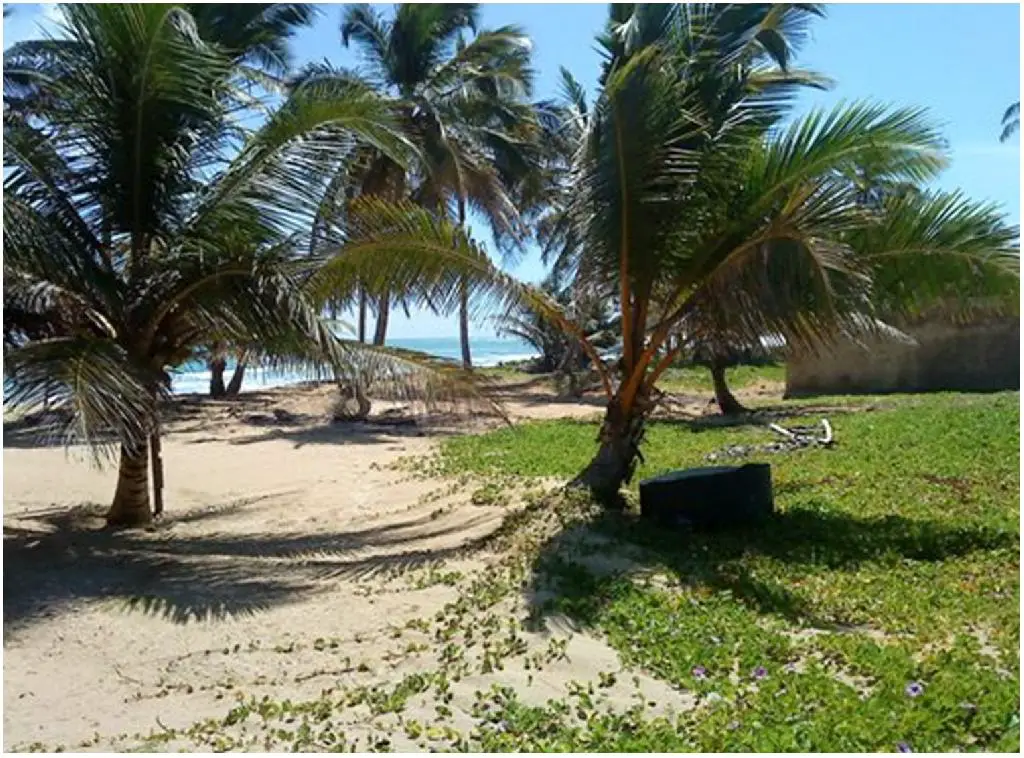 900000 DE METROS CUADRADOS DE TERRENO CON PLAYA EN UVERO ALTO CON LA M Foto 7218220-9.jpg