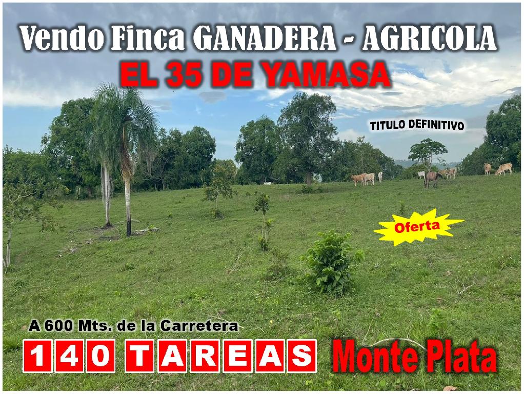 Vendo Finca GANADERA – AGRICOLA de 140 tareas en el 35 de YAMASA de op Foto 7228111-9.jpg