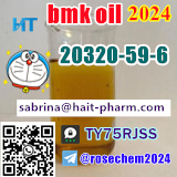BMK Oil CAS 20320-59-6 Can Ship Directly Whatsapp 8615355326496 Foto 7228495-1.jpg