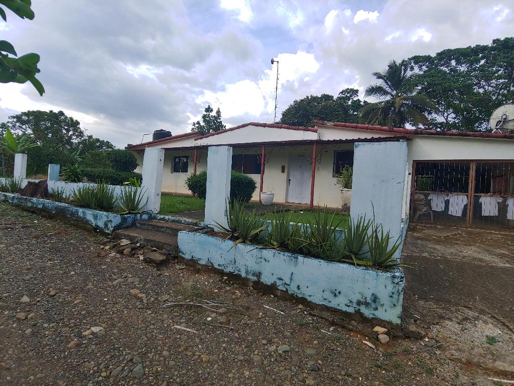 Vendo Hermosa Tierra con dos casas en Bonao y es una Finca de 39 Tarea Foto 7231578-8.jpg