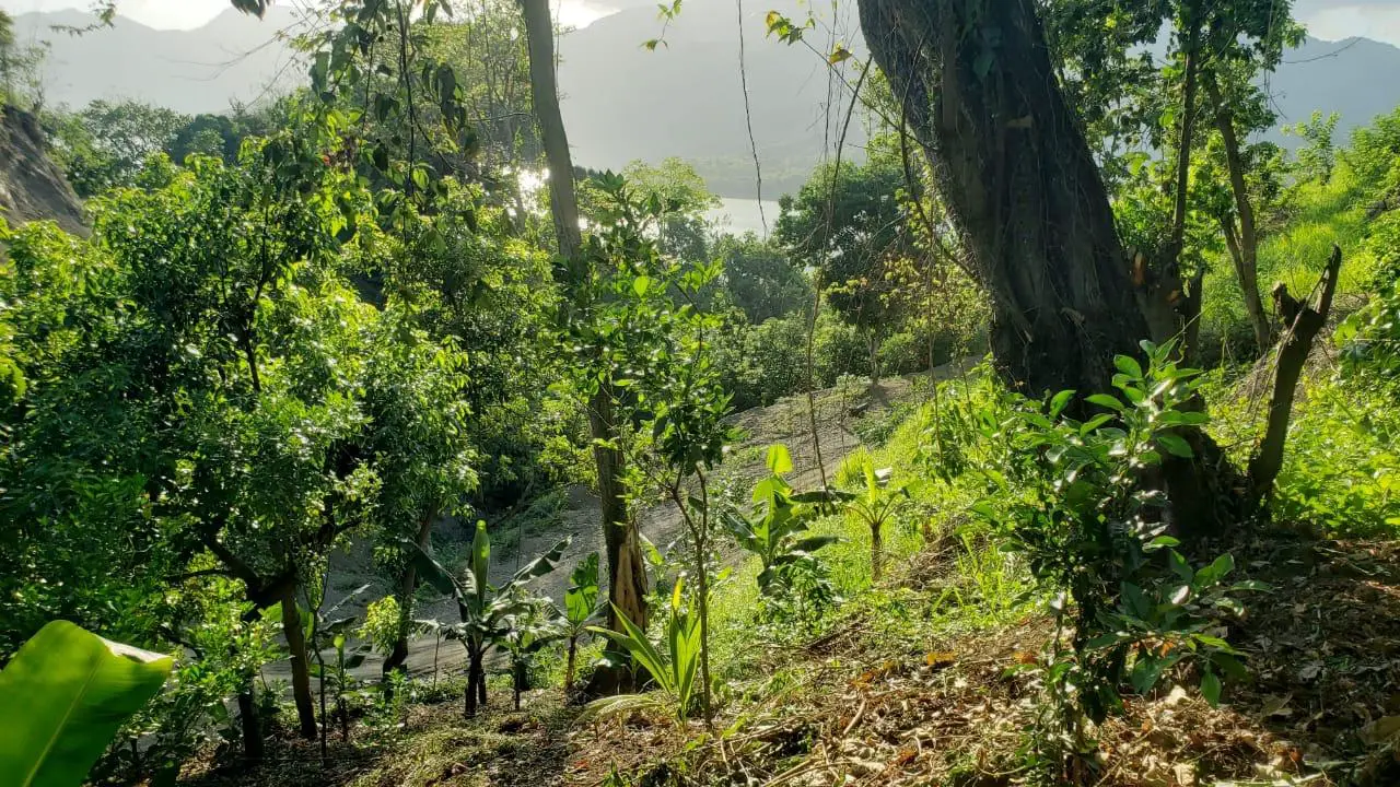 Preciosa finca en Villa Altagracia  Foto 7244917-9.jpg