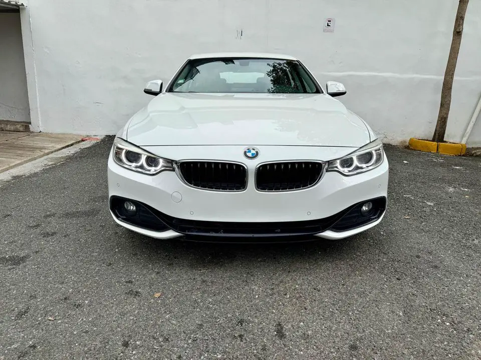 BMW 420i 2017 Gran Coupe Foto 7255208-10.jpg