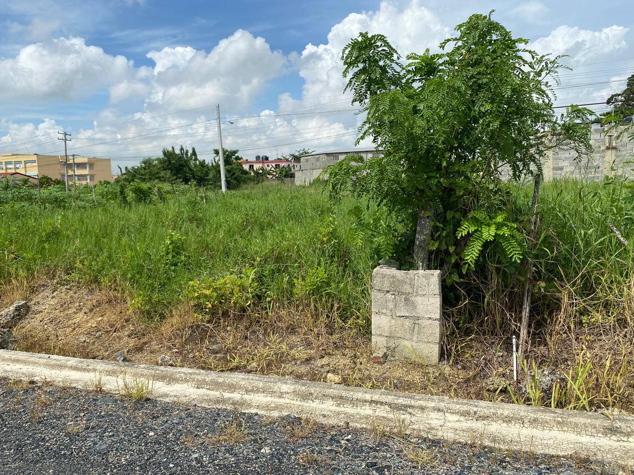 tu mejor eleccion en cuanto a solares en santo domingo norte Foto 7257182-2.jpg