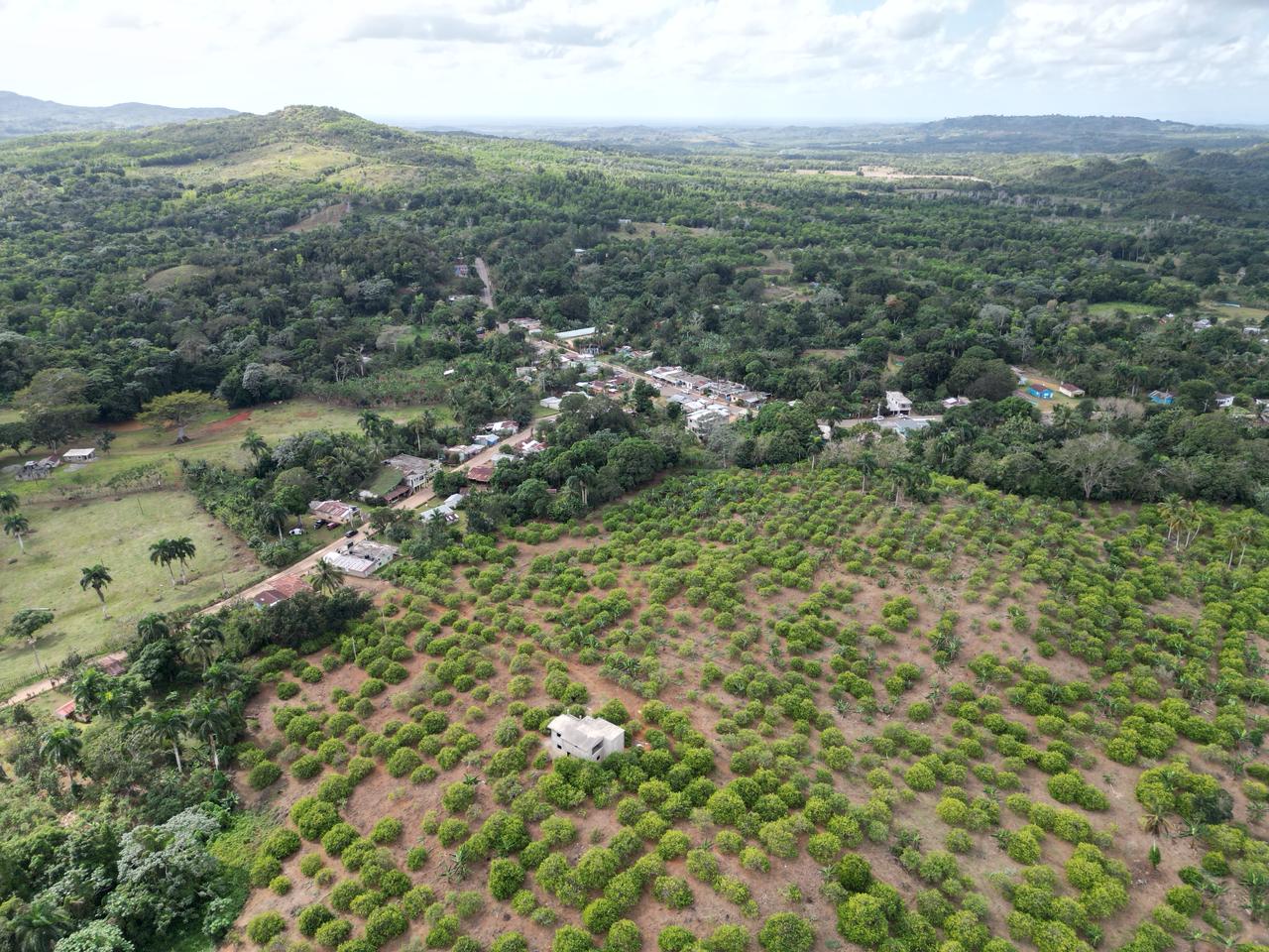 Vendo finca en Bayaguana con título y sembrada. Lee la descripción Foto 7264607-8.jpg
