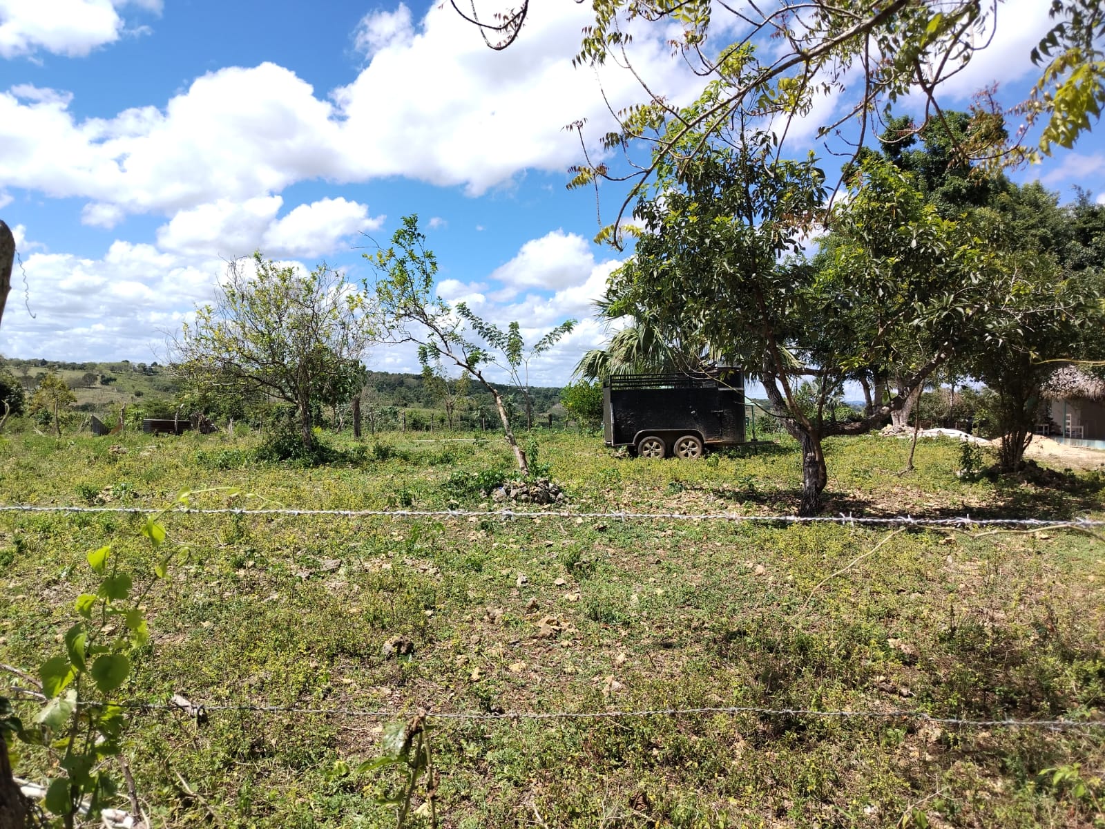 Finca de 320 tareas Eco-turísticas y Agrícolas con río en La Romana Foto 7269594-5.jpg