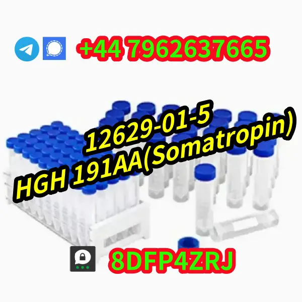 HGH 191AA finished peptide from India  en Hato Mayor Foto 7269804-5.jpg