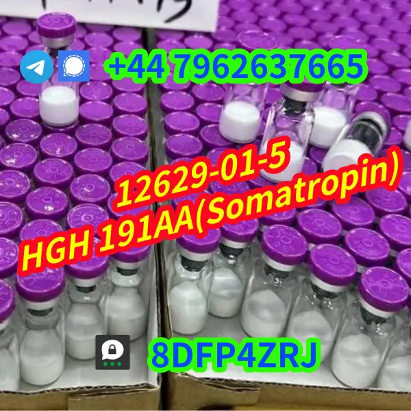 HGH 191AA finished peptide from India  en Hato Mayor Foto 7269804-6.jpg