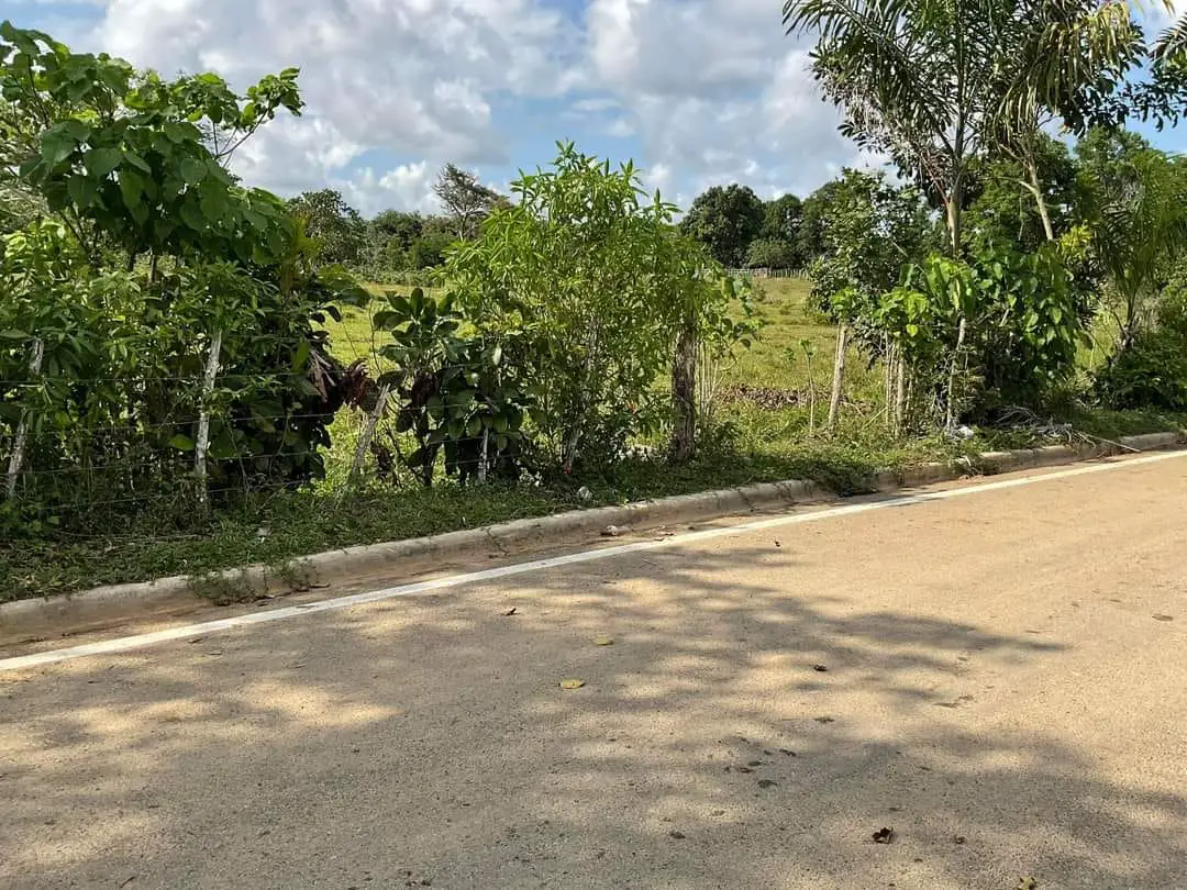 Finca de 893 tareas Ganaderas con vocación Agrícolas en Nagua Foto 7270761-9.jpg