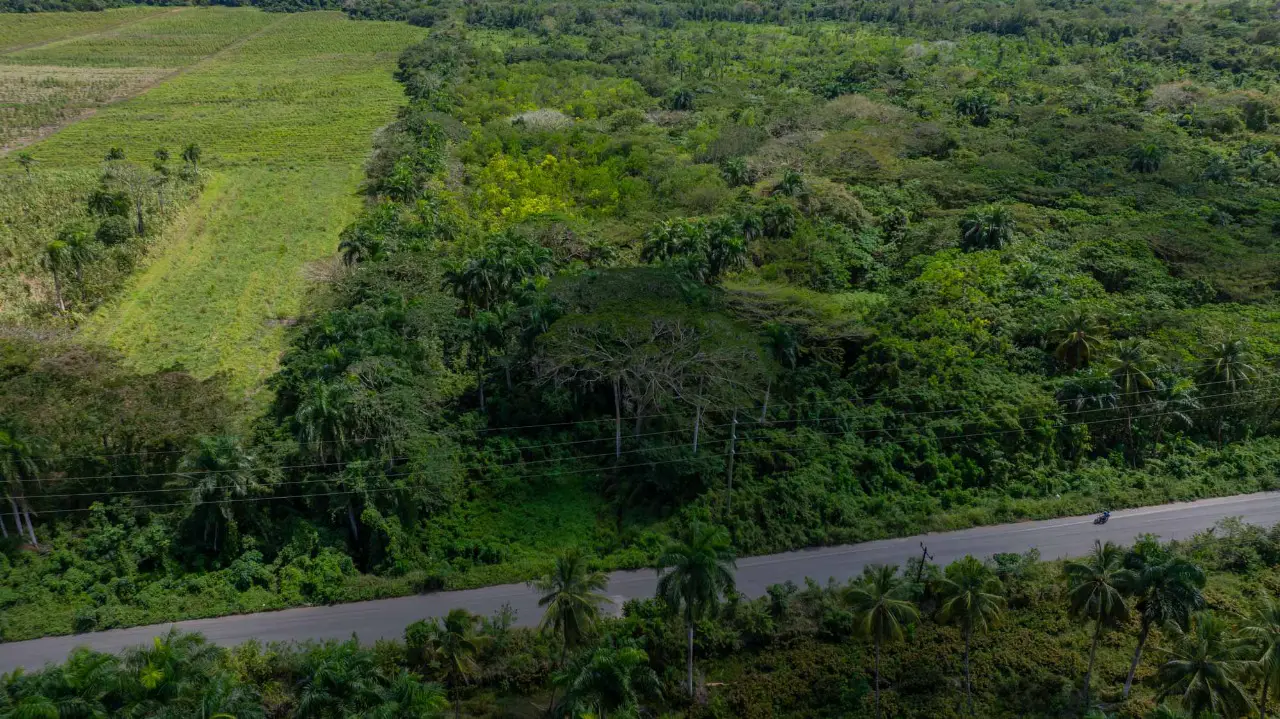 Finca de 1700 tareas con vocación Agrícola y Ganadera en carretera Gue Foto 7270834-3.jpg