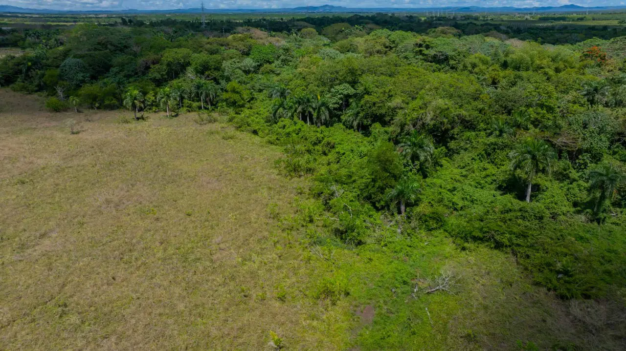 Finca de 1700 tareas con vocación Agrícola y Ganadera en carretera Gue Foto 7270834-6.jpg