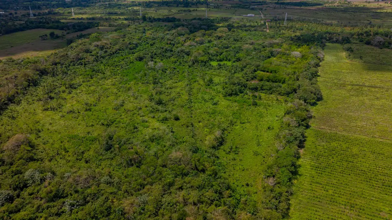 Finca de 1700 tareas con vocación Agrícola y Ganadera en carretera Gue Foto 7270834-7.jpg