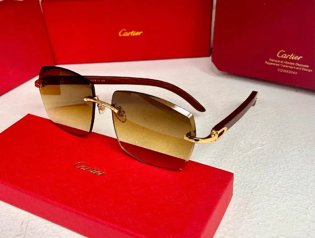 Lentes Gafas Sunglasses Glasses Cartier  Foto 7274897-1.jpg