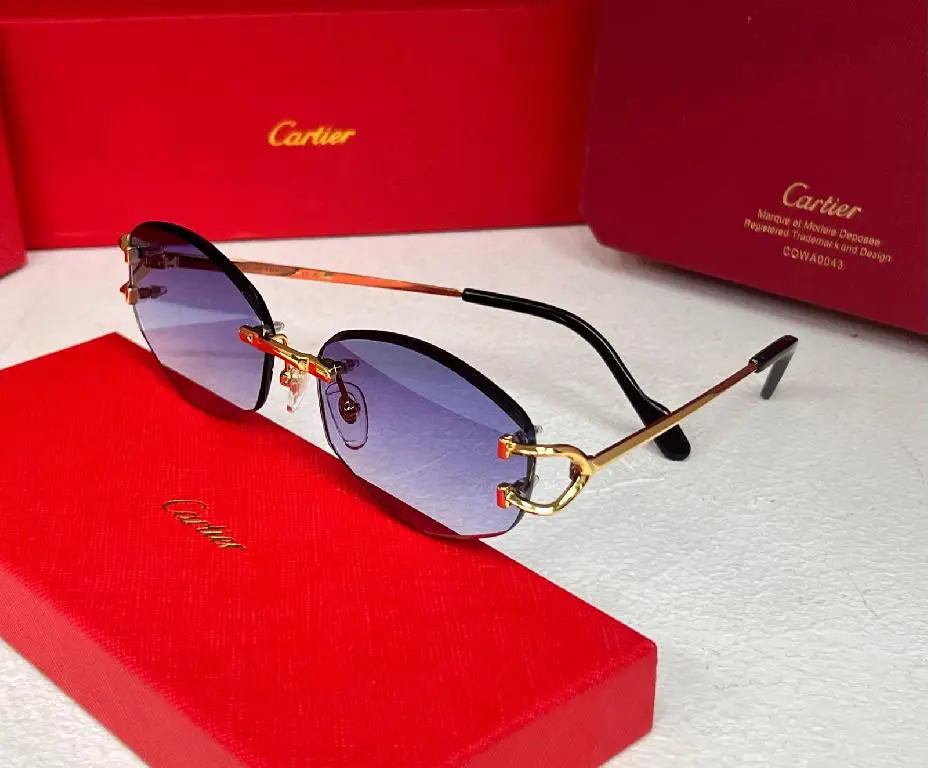 Lentes Gafas Sunglasses Glasses Cartier  Foto 7274898-1.jpg