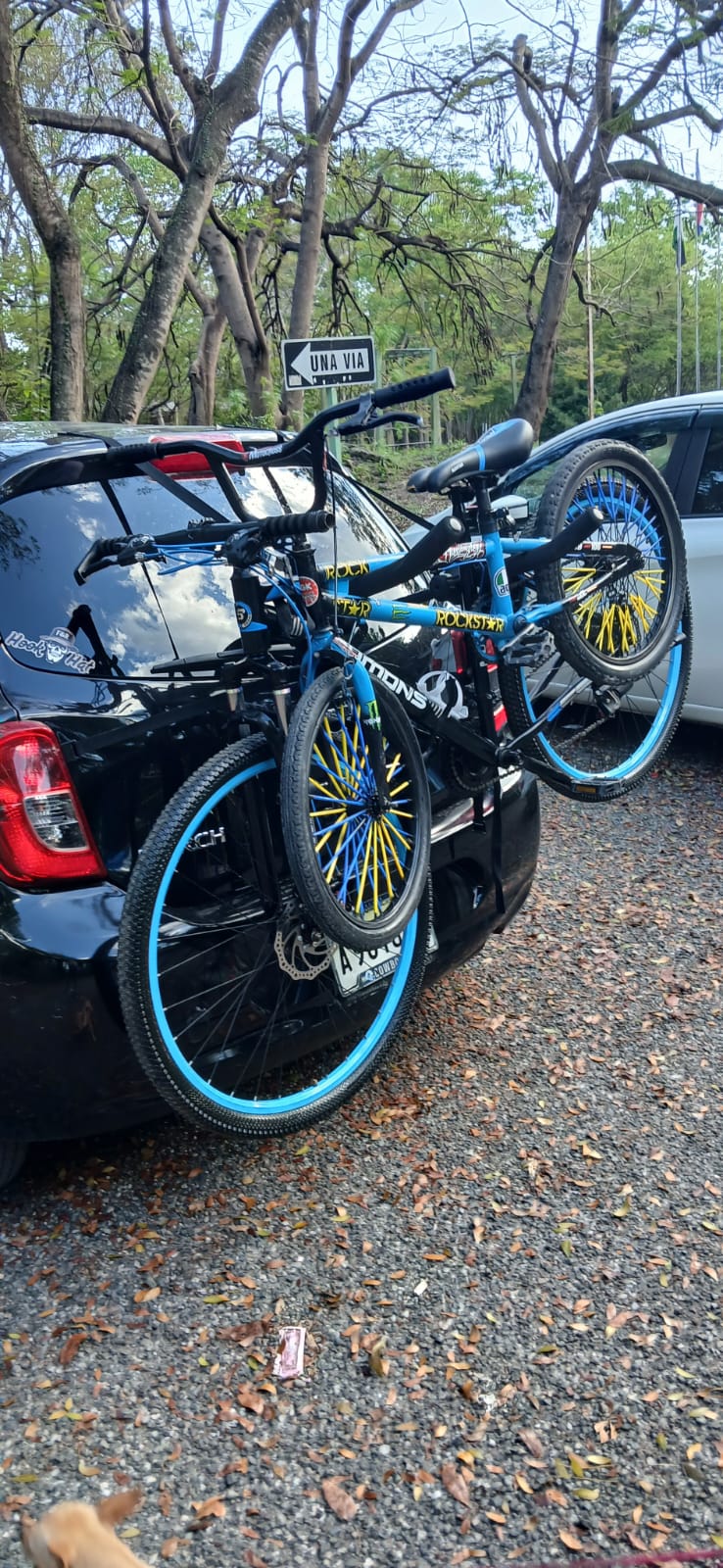 Bicicleta mtb mumoms aro 29   Foto 7275285-10.jpg