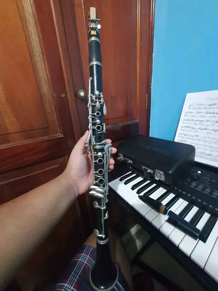 Clarinete Yamaha 250 Foto 7275398-3.jpg