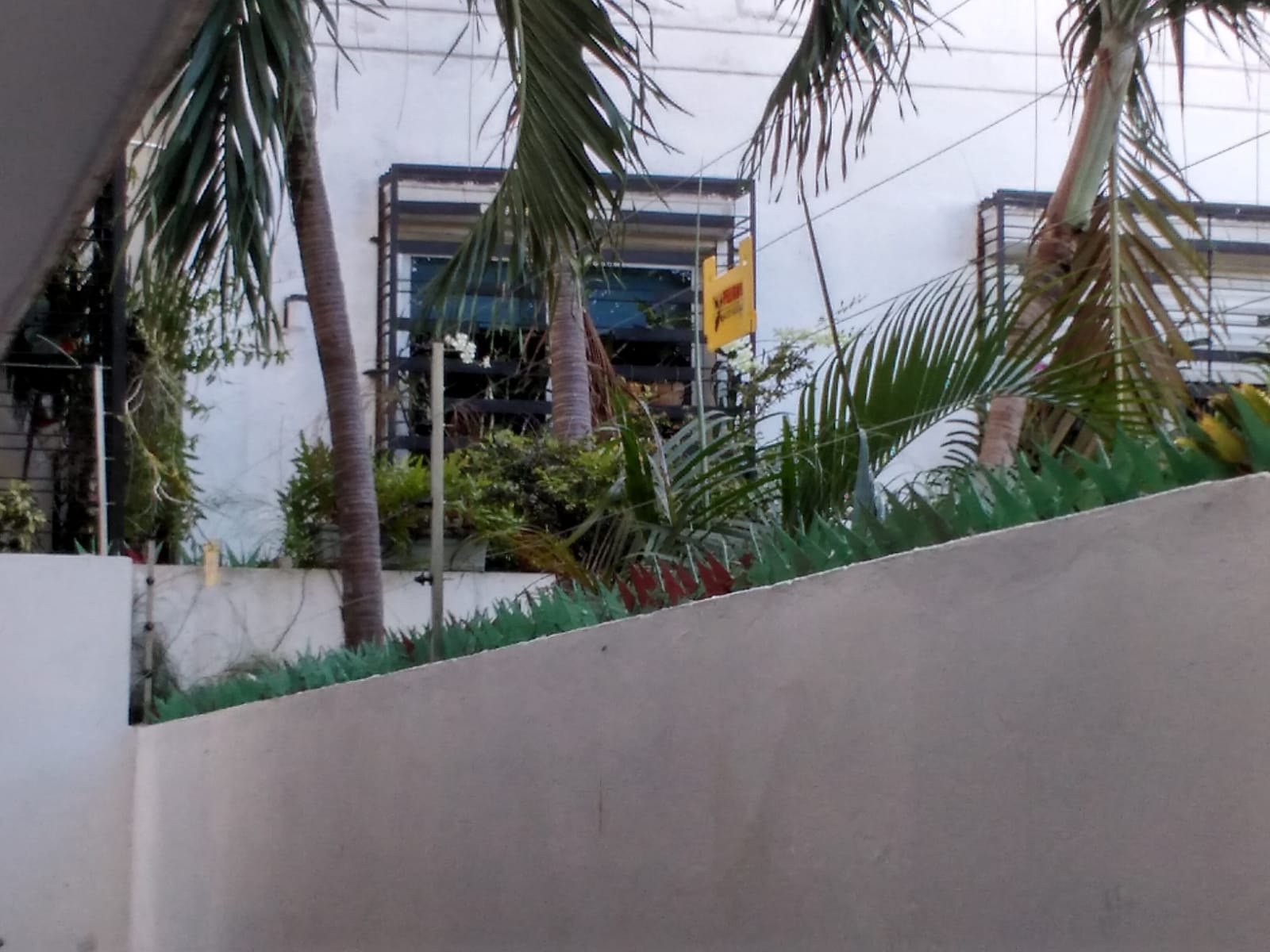 Instalación de cercos eléctricos para el cuidado de su hogar o negocio Foto 7275408-6.jpg