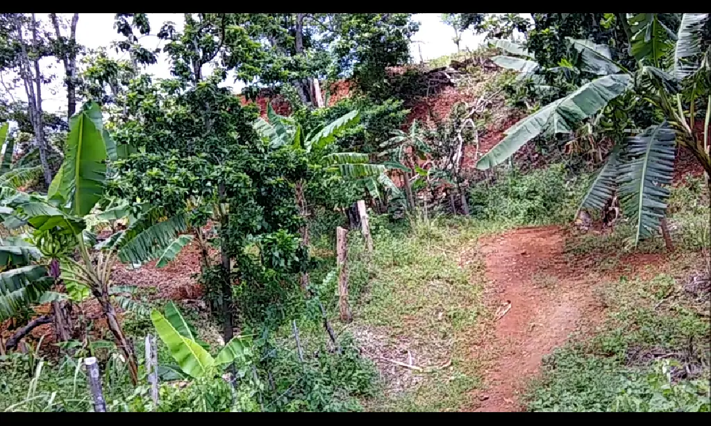 VENTA FINCA EN RINCON DE YUBOA BONAO Foto 7276039-11.jpg
