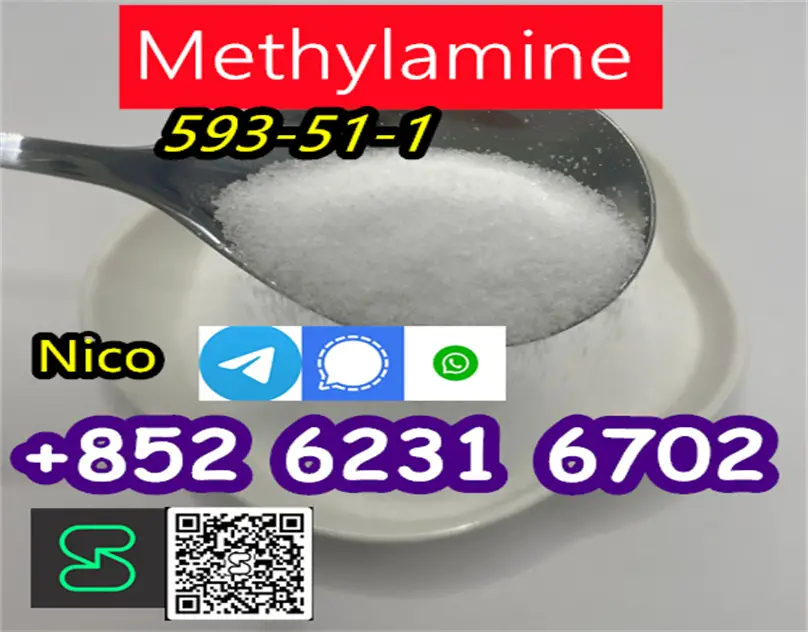 high quailty  Methylamine hydrochloride CAS 593-51-1 Foto 7276293-1.jpg