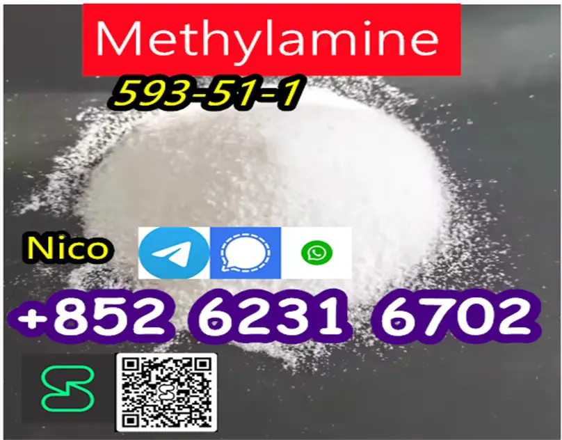 high quailty  Methylamine hydrochloride CAS 593-51-1 Foto 7276293-2.jpg