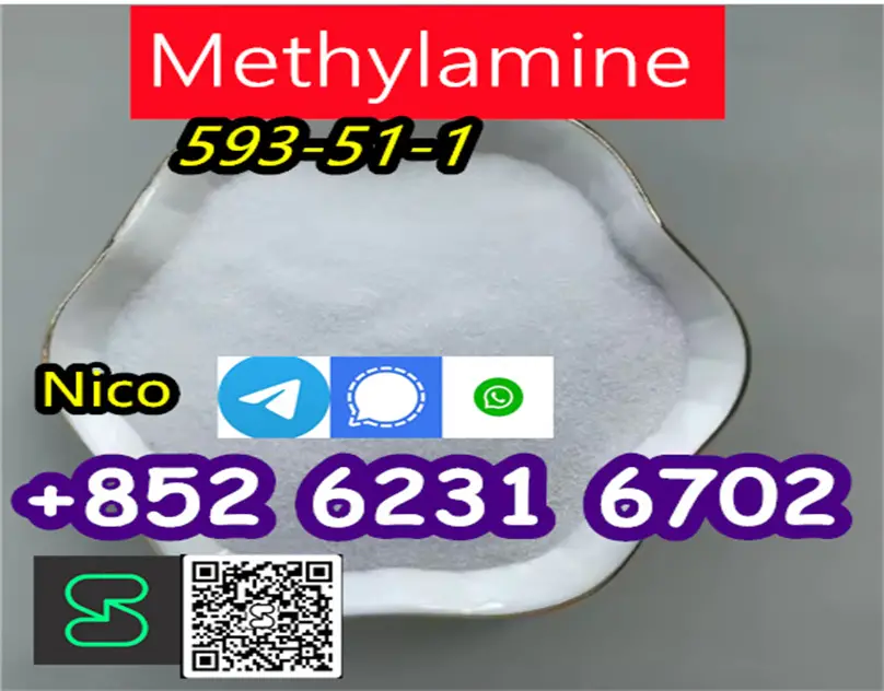 high quailty  Methylamine hydrochloride CAS 593-51-1 Foto 7276293-3.jpg