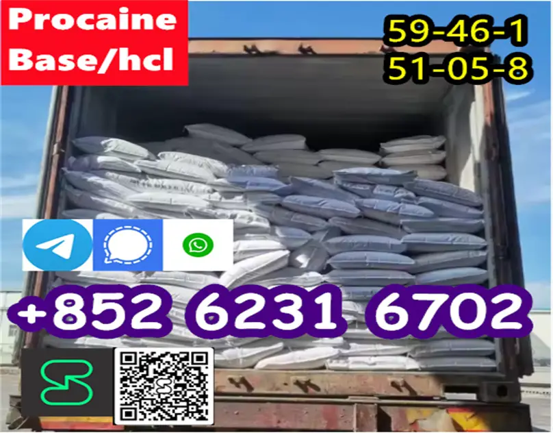 hot sale Procaine base CAS 59-46-1 /51-05-8 / procaine hcl and base in Foto 7276295-2.jpg