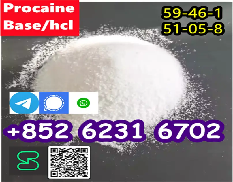 hot sale Procaine base CAS 59-46-1 /51-05-8 / procaine hcl and base in Foto 7276295-3.jpg
